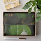 White Trillium Flower Spring Wilde Tissuepapier (Geschenk)