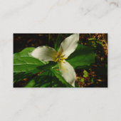 White Trillium Flower Spring Wilde Visitekaartje (Achterkant)
