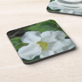 White Tropical Flower gevonden op Fiji Bier Onderzetter (Linkerzijde)