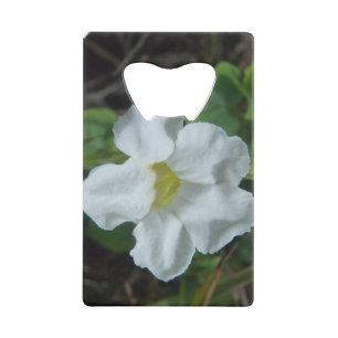 White Tropical Flower gevonden op Fiji Creditkaart Flessenopener