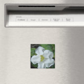 White Tropical Flower gevonden op Fiji Magneet (Insitu (Vaatwasser))