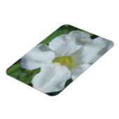 White Tropical Flower gevonden op Fiji Magneet (Linkerzijde)