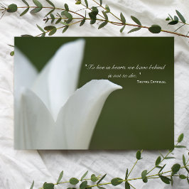 White Tulip Bedankt voor je sympathie
