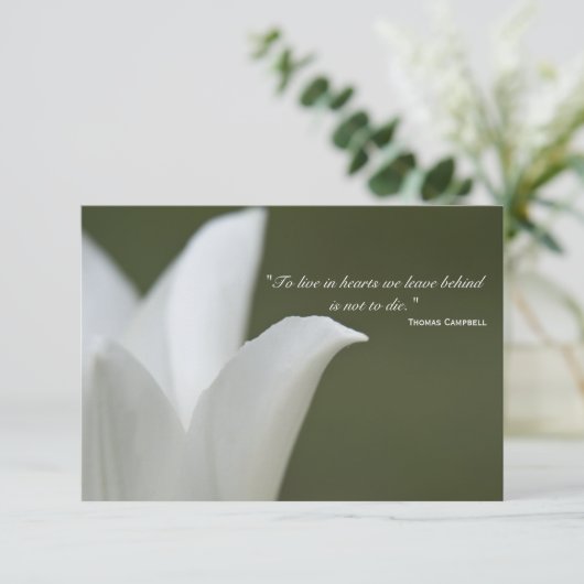 White Tulip Bedankt voor je sympathie (Staand voorkant)