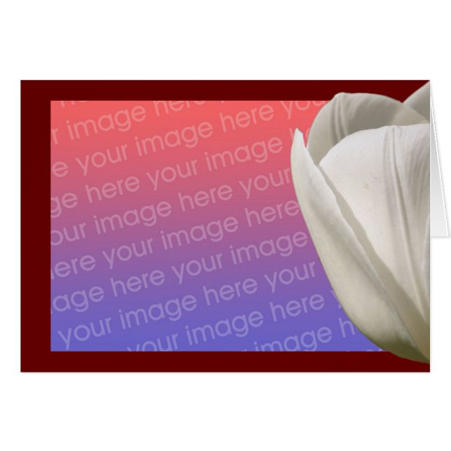 White Tulip Flower-fotokaart (Voorkant Horizontaal)
