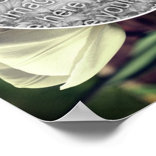 White Tulip Flower Lijst Creëer Uw eigen foto Poster (Hoek)