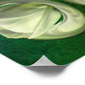 White Tulip Flower Petals Abstract Poster (Hoek)