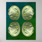 White Tulip Flower Petals Abstract Poster (Voorkant)