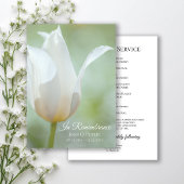 White Tulip Flower Spring begrafenis herdenkingsdi Programmakaart