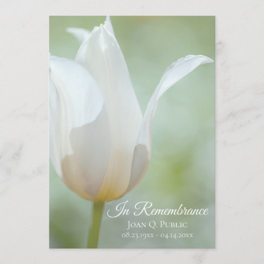 White Tulip Flower Spring begrafenis herdenkingsdi Programmakaart (Voorkant)