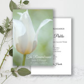 White Tulip Flower Spring Death Jubileum Kaart
