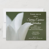 White Tulip Flower Spring Equinox Celebration Kaart (Voorkant)