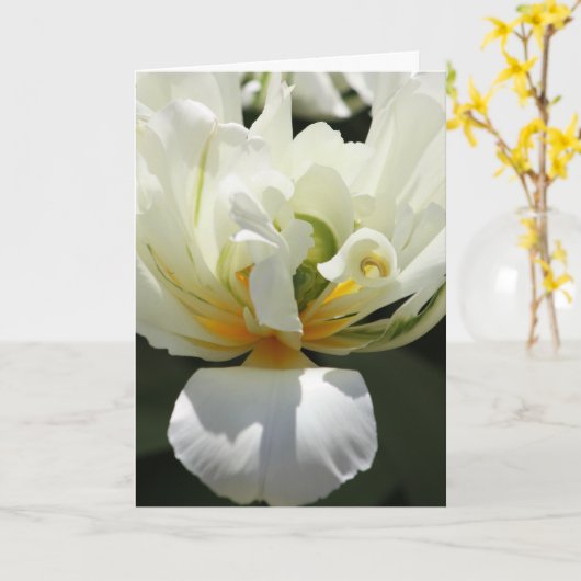 White Tulip Kaart (Gele Bloem)