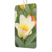 White Tulip Luchtverfrisser (Links)