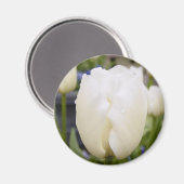 White Tulip Magneet (Voorkant / Achterkant)