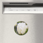 White Tulip Magneet (Insitu (Vaatwasser))
