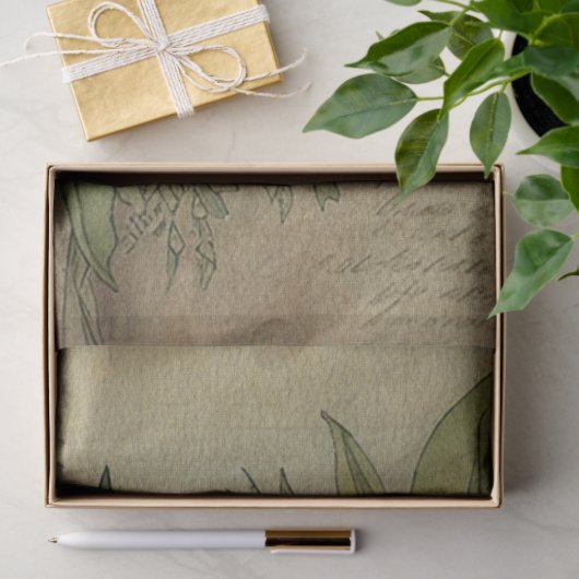 White Tulip Old Art Tissuepapier (Geschenk)