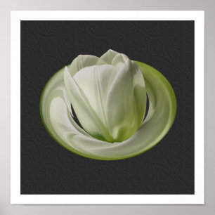 White Tulip Petals Floral Print
