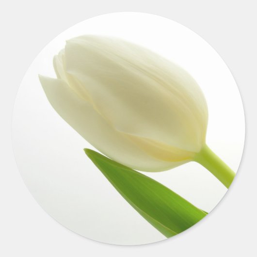 White Tulip Ronde Sticker (Voorkant)