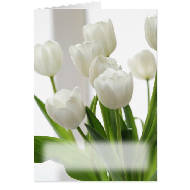 White Tulips card (Voorkant)