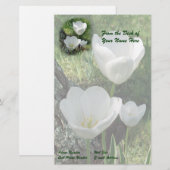 White Tulips Flower Trio Briefpapier (Voorkant / Achterkant)