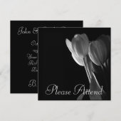 White Tulips foto op zwarte achtergrond Kaart (Voorkant / Achterkant)