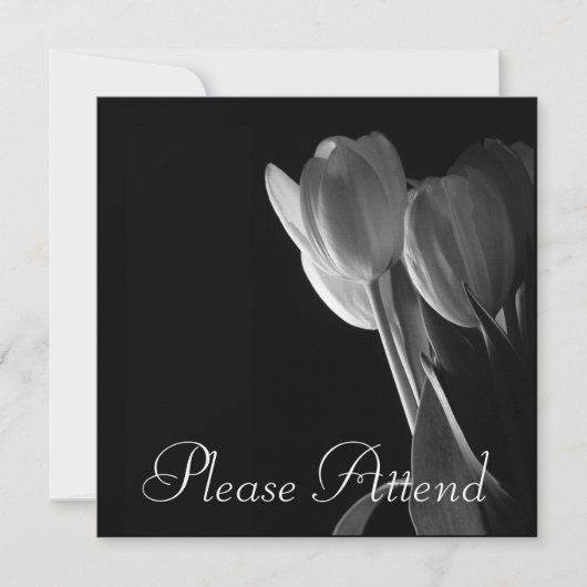 White Tulips foto op zwarte achtergrond Kaart (Voorkant)