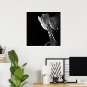 White Tulips foto op zwarte achtergrond Poster (Thuiskantoor)