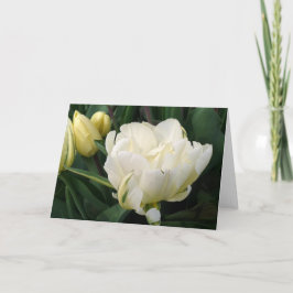 White Tulips Greeting Card Aankondiging