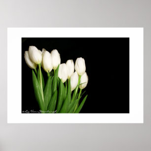 White Tulips Print