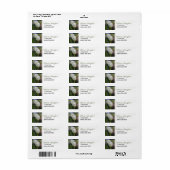 White Tulips Return Address Label (Full Sheet)