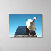 White Turkey Dimensional Popout Art, Canvas Afdruk (Voorkant)