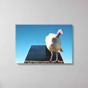 White Turkey Dimensional Popout Art, Canvas Afdruk