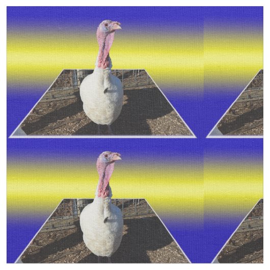 White Turkey Popout Art, Stof (Close Up)
