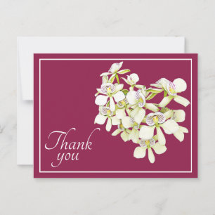 White Veined Orchids Crimson Achtergrond Dank je Briefkaart
