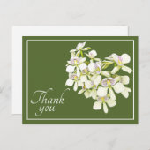 White Veined Orchids Green Background Bedankt Briefkaart (Voorkant / Achterkant)