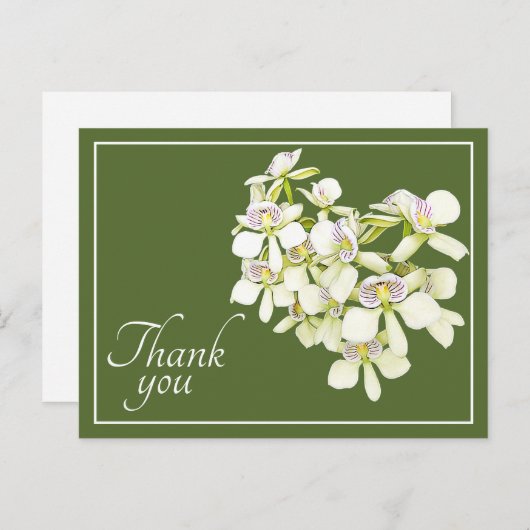White Veined Orchids Green Background Bedankt Briefkaart (Voorkant / Achterkant)