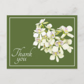 White Veined Orchids Green Background Bedankt Briefkaart (Voorkant)