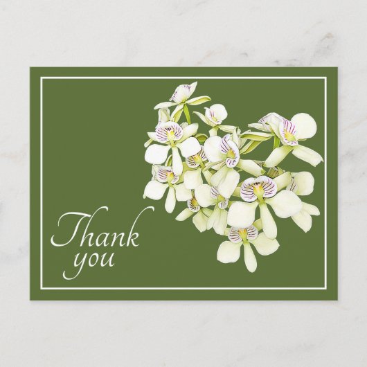 White Veined Orchids Green Background Bedankt Briefkaart (Voorkant)
