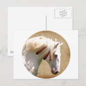 White War Horse Briefkaart (Voorkant / Achterkant)