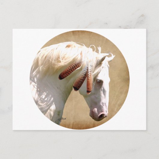 White War Horse Briefkaart (Voorkant)