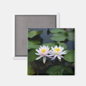 White Water Lilies Magneet (Voorkant / Achterkant)