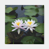 White Water Lilies Magneet (Voorkant)