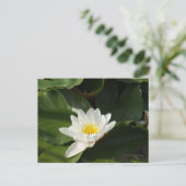 White Water Lilly Fotografie Briefkaart (Staand voorkant)