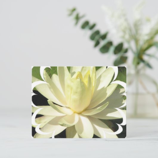 White Water Lily Briefkaart (Staand voorkant)
