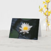 "White Water Lily" Flower Foto Wenskaart Kaart (Gele Bloem)