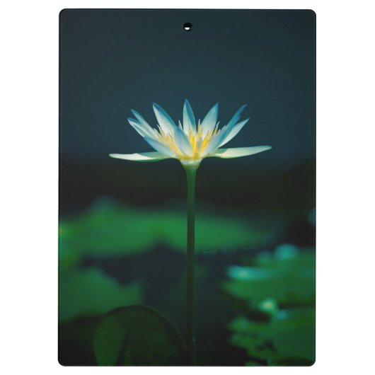 White Water Lily Flower Klembord (Achterkant)