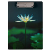 White Water Lily Flower Klembord (Voorkant)