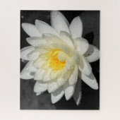 White Water Lily Foto Legpuzzel (Verticaal)