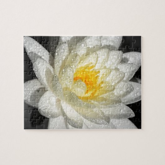 White Water Lily Foto Legpuzzel (Horizontaal)